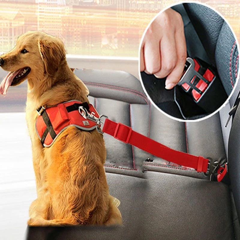 Pet Car Seat Belt: Adjustable & Safe for Cats and Dogs